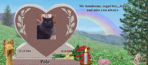 Polo's Rainbow Bridge Pet Loss Memorial Residency Image