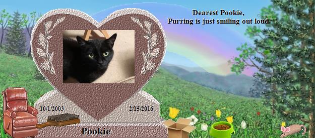 Pookie's Rainbow Bridge Pet Loss Memorial Residency Image