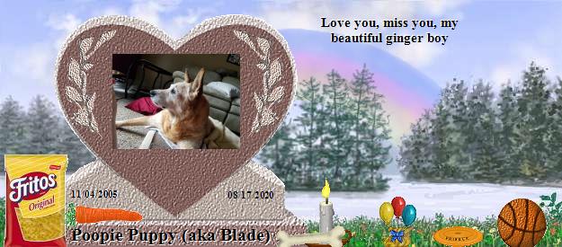 Poopie Puppy (aka Blade)'s Rainbow Bridge Pet Loss Memorial Residency Image