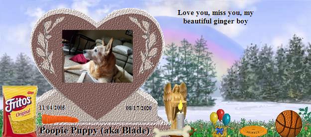 Poopie Puppy (aka Blade)'s Rainbow Bridge Pet Loss Memorial Residency Image