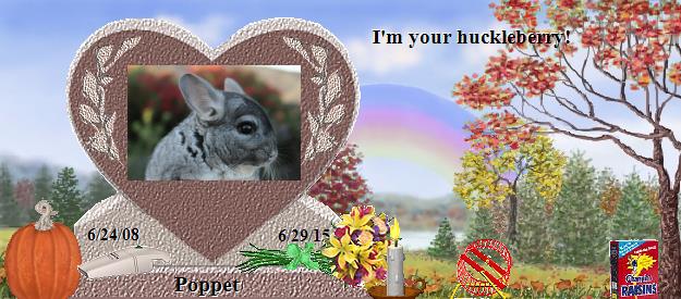 Poppet's Rainbow Bridge Pet Loss Memorial Residency Image