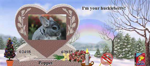 Poppet's Rainbow Bridge Pet Loss Memorial Residency Image