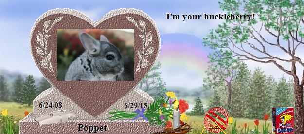 Poppet's Rainbow Bridge Pet Loss Memorial Residency Image