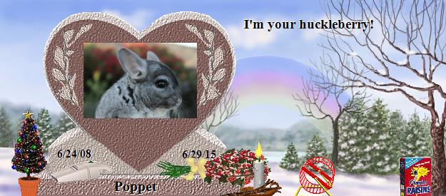 Poppet's Rainbow Bridge Pet Loss Memorial Residency Image