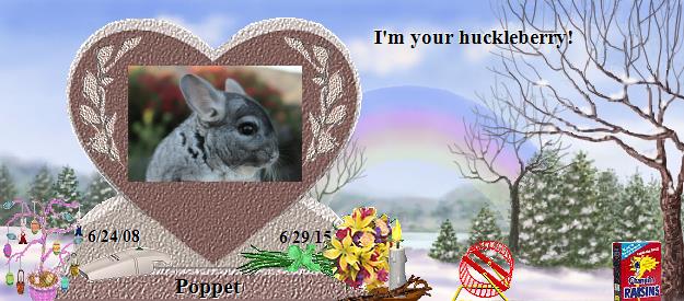 Poppet's Rainbow Bridge Pet Loss Memorial Residency Image