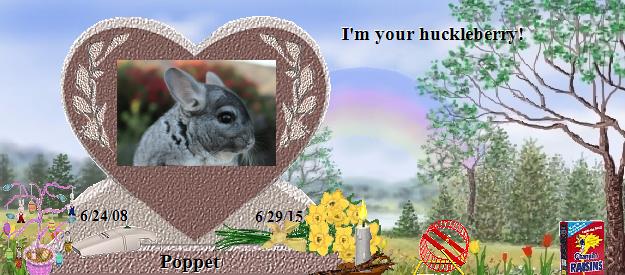 Poppet's Rainbow Bridge Pet Loss Memorial Residency Image