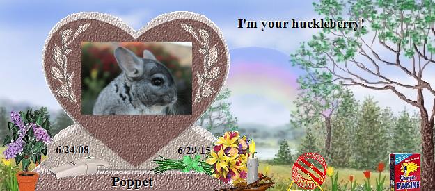 Poppet's Rainbow Bridge Pet Loss Memorial Residency Image