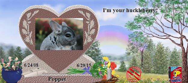 Poppet's Rainbow Bridge Pet Loss Memorial Residency Image