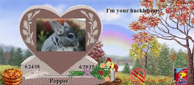 Poppet's Rainbow Bridge Pet Loss Memorial Residency Image