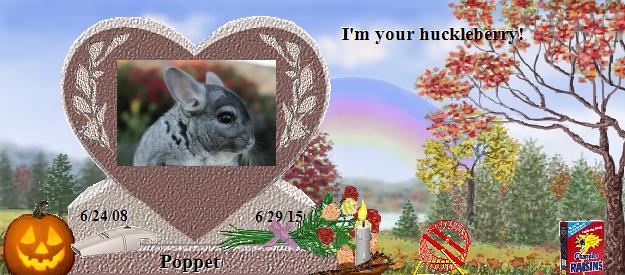 Poppet's Rainbow Bridge Pet Loss Memorial Residency Image