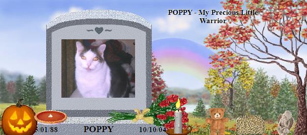 POPPY's Rainbow Bridge Pet Loss Memorial Residency Image