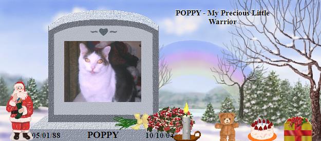 POPPY's Rainbow Bridge Pet Loss Memorial Residency Image