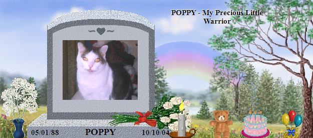 POPPY's Rainbow Bridge Pet Loss Memorial Residency Image