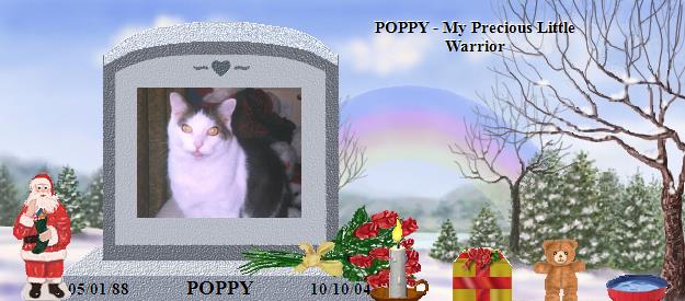 POPPY's Rainbow Bridge Pet Loss Memorial Residency Image