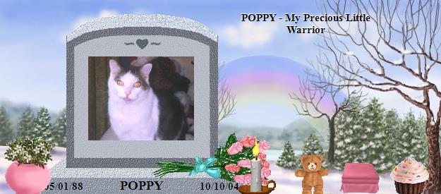 POPPY's Rainbow Bridge Pet Loss Memorial Residency Image