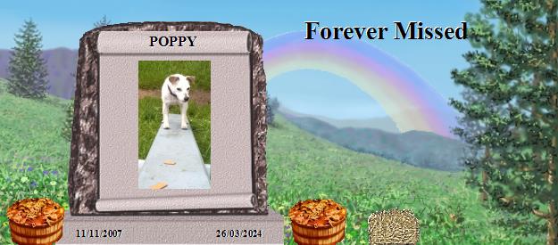 POPPY's Rainbow Bridge Pet Loss Memorial Residency Image