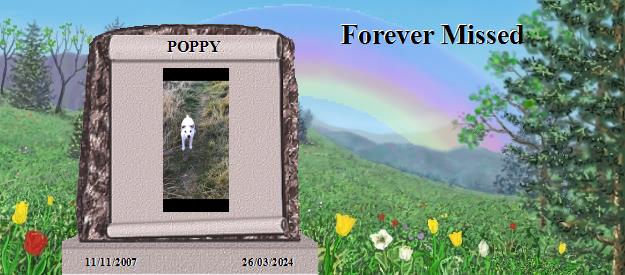 POPPY's Rainbow Bridge Pet Loss Memorial Residency Image