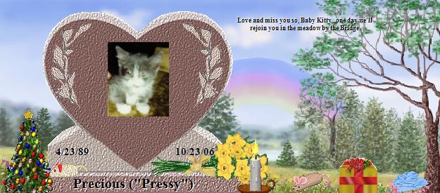 Precious ("Pressy")'s Rainbow Bridge Pet Loss Memorial Residency Image