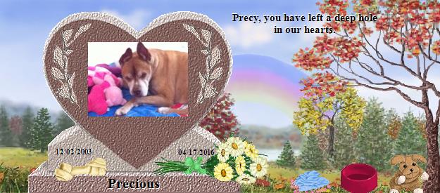 Precious's Rainbow Bridge Pet Loss Memorial Residency Image