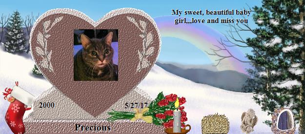 Precious's Rainbow Bridge Pet Loss Memorial Residency Image