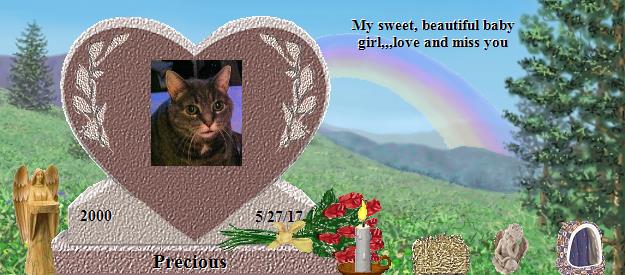 Precious's Rainbow Bridge Pet Loss Memorial Residency Image