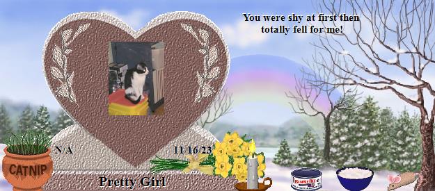 Pretty Girl's Rainbow Bridge Pet Loss Memorial Residency Image