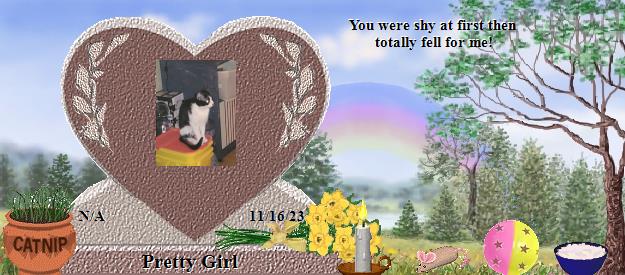 Pretty Girl's Rainbow Bridge Pet Loss Memorial Residency Image