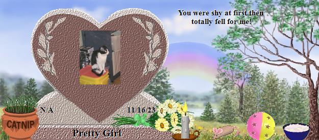 Pretty Girl's Rainbow Bridge Pet Loss Memorial Residency Image