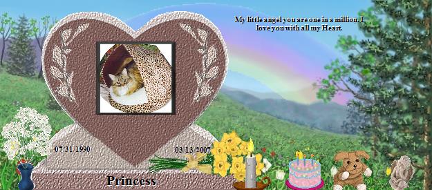 Princess's Rainbow Bridge Pet Loss Memorial Residency Image