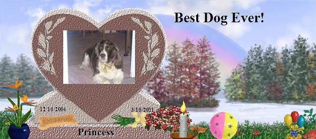 Princess's Rainbow Bridge Pet Loss Memorial Residency Image