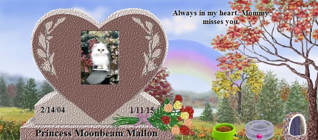 Princess Moonbeam Mallon's Rainbow Bridge Pet Loss Memorial Residency Image