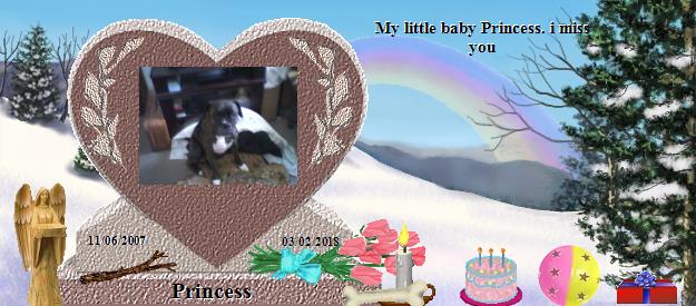 Princess's Rainbow Bridge Pet Loss Memorial Residency Image