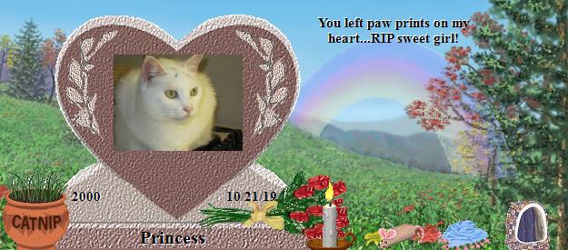 Princess's Rainbow Bridge Pet Loss Memorial Residency Image