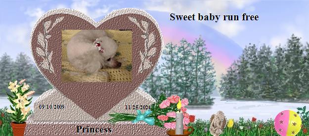 Princess's Rainbow Bridge Pet Loss Memorial Residency Image
