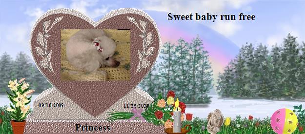 Princess's Rainbow Bridge Pet Loss Memorial Residency Image