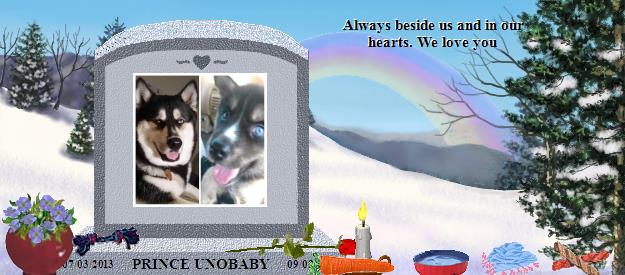 PRINCE UNOBABY's Rainbow Bridge Pet Loss Memorial Residency Image