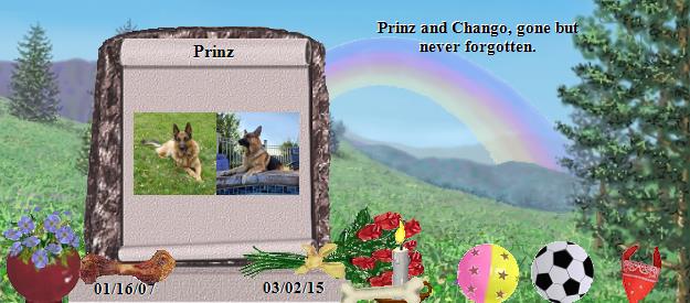 Prinz's Rainbow Bridge Pet Loss Memorial Residency Image