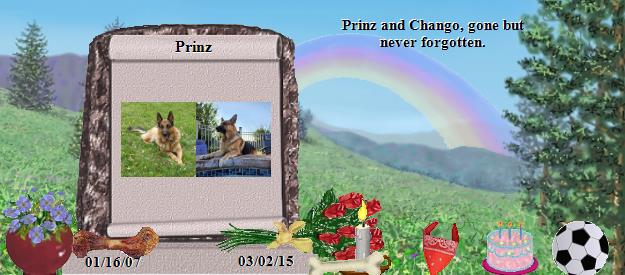 Prinz's Rainbow Bridge Pet Loss Memorial Residency Image