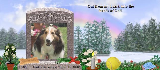 Priscilla Joy Lederman (Prisy)'s Rainbow Bridge Pet Loss Memorial Residency Image