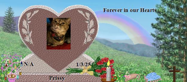 Prissy's Rainbow Bridge Pet Loss Memorial Residency Image