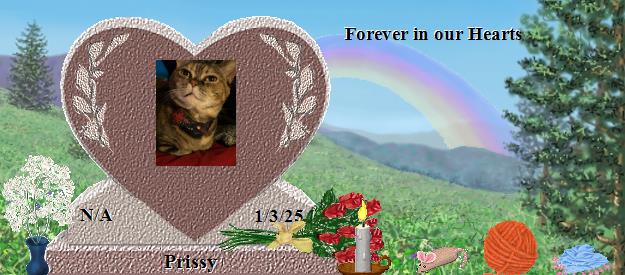 Prissy's Rainbow Bridge Pet Loss Memorial Residency Image