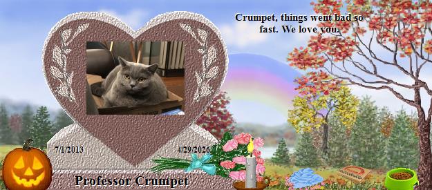 Professor Crumpet's Rainbow Bridge Pet Loss Memorial Residency Image