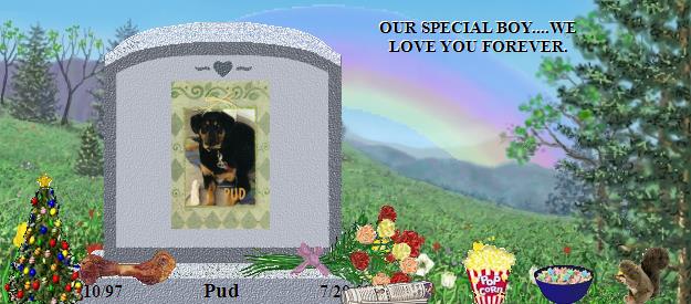 Pud's Rainbow Bridge Pet Loss Memorial Residency Image