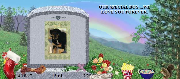 Pud's Rainbow Bridge Pet Loss Memorial Residency Image
