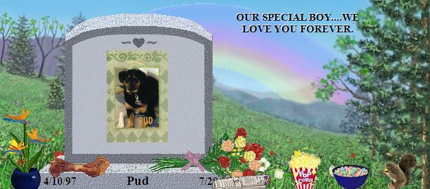 Pud's Rainbow Bridge Pet Loss Memorial Residency Image