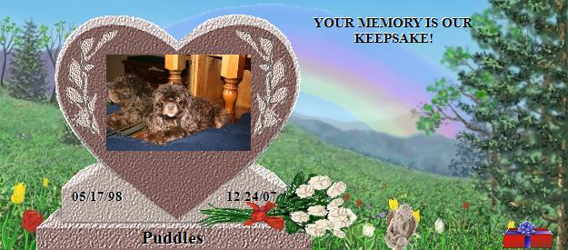 Puddles's Rainbow Bridge Pet Loss Memorial Residency Image