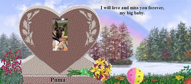 Puma's Rainbow Bridge Pet Loss Memorial Residency Image