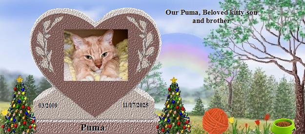 Puma's Rainbow Bridge Pet Loss Memorial Residency Image