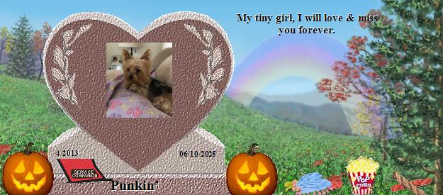 Punkin’'s Rainbow Bridge Pet Loss Memorial Residency Image