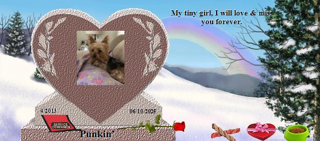 Punkin&rsquo;'s Rainbow Bridge Pet Loss Memorial Residency Image